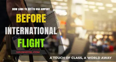 International Flight Prep: Optimal Arrival Time at US Airports