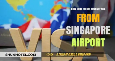 Singapore Airport Transit Visa Processing Time: What to Expect
