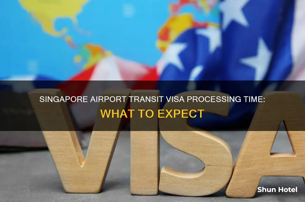 how long to get transit visa from singapore airport