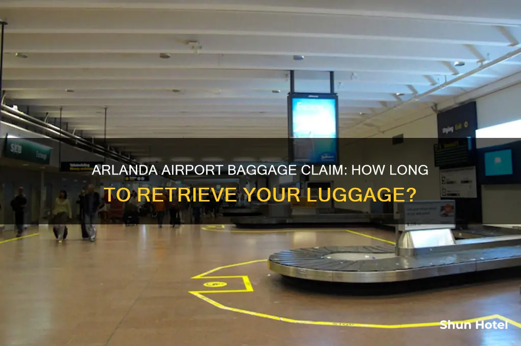 how long to get your bag at arlanda airport