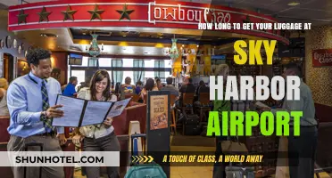 Sky Harbor Airport Luggage Wait Time: What to Expect