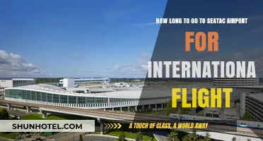Seatac Airport International Flight: Timing Your Arrival Perfectly