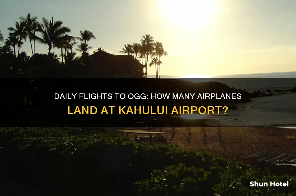 how many airplanes fly into ogg airport daily