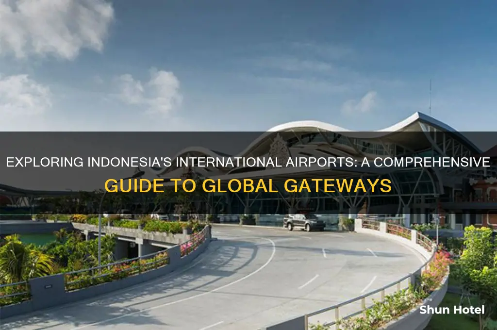 how many airport international in indonesia