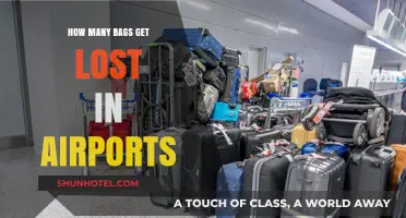 Lost Luggage Crisis: How Many Bags Disappear in Airports?