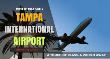 Daily Flight Count at Tampa International Airport: What to Expect