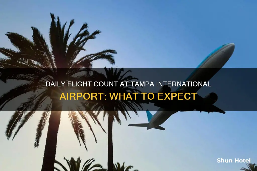how many daily flights tampa international airport