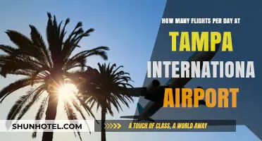 Daily Flight Volume at Tampa International Airport: A Comprehensive Overview