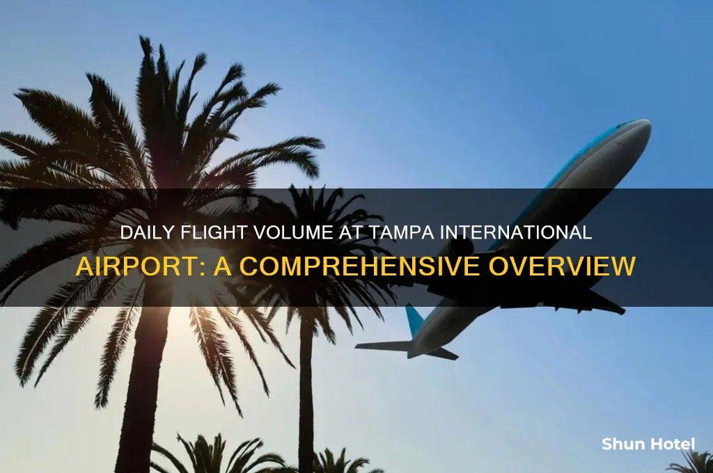 how many flights per day at tampa international airport