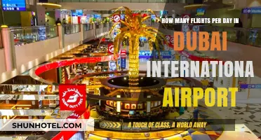 Dubai International Airport's Daily Flight Volume: A Comprehensive Overview