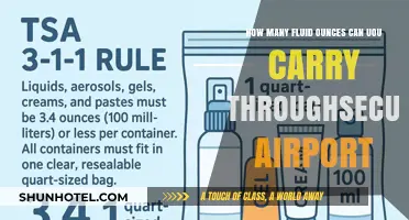 Air Travel: Carrying Liquids Through Airport Security