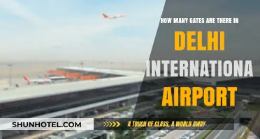 Exploring Delhi International Airport: Total Gates and Terminal Guide