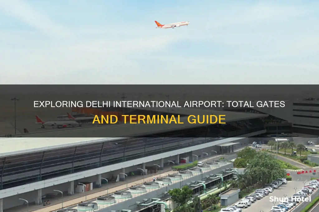 how many gates are there in delhi international airport