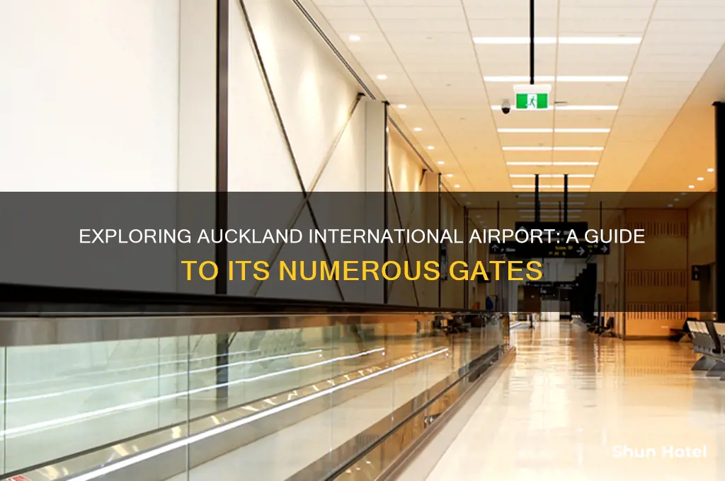 how many gates at auckland international airport