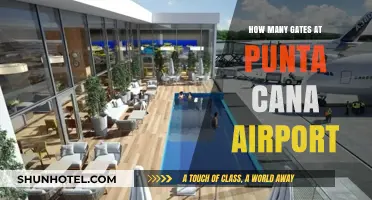 Navigating Punta Cana Airport: Gate Insights