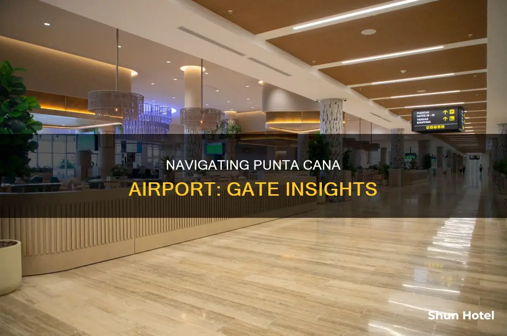 how many gates at punta cana airport