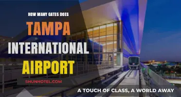 Exploring Tampa International Airport: Total Gates and Terminal Layout