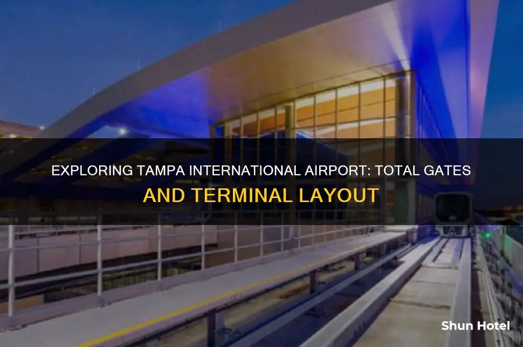 how many gates does tampa international airport