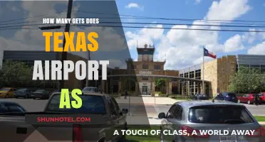 Texas Airport Passenger Traffic: Unveiling the Annual Visitor Count