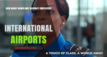 Homeland Security Staffing Levels at International Airports: A Comprehensive Overview