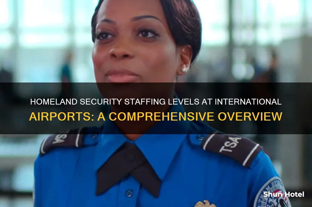 how many homeland security employees at international airports