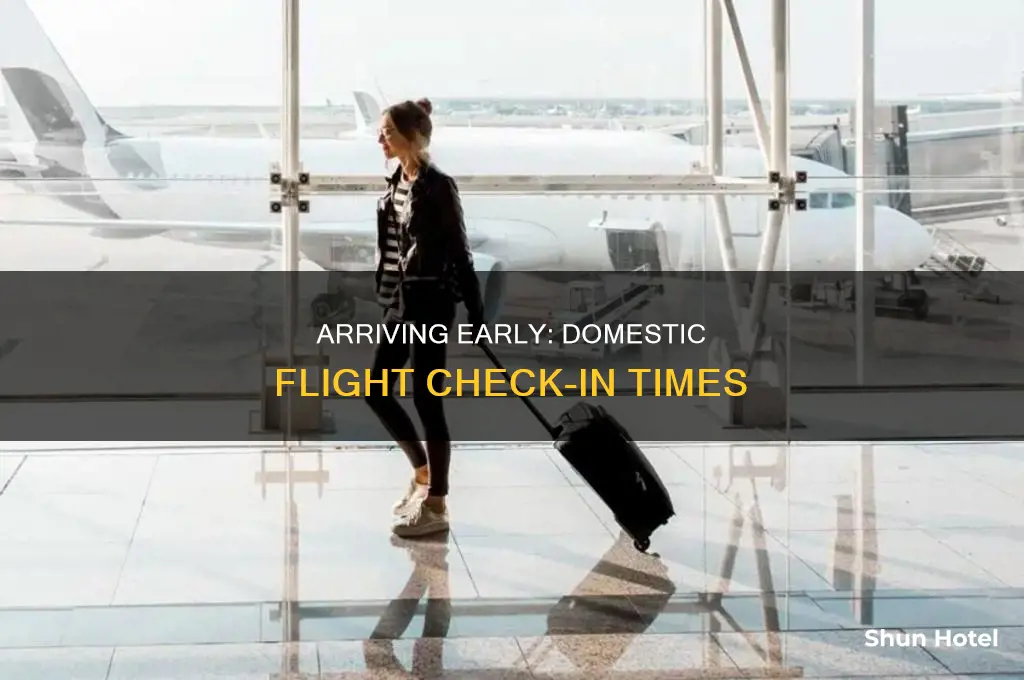 how many hours before domestic flight can i enter airport