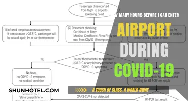 Navigating Airport Entry During the COVID-19 Pandemic