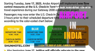 Airport Arrival: India's Pre-boarding Entry Requirements
