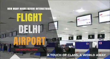 Delhi Airport International Flight: Optimal Check-In Time Guide