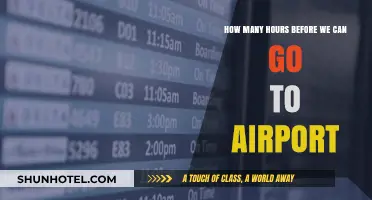 Arriving Early: How Far Before Your Flight?