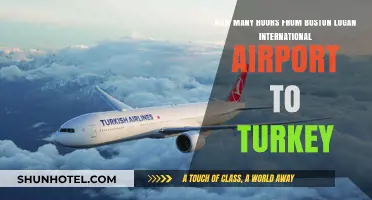 Boston Logan to Turkey: Flight Duration and Travel Tips