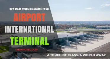 Navigating International Travel: Optimal Arrival Time for Airport Terminals