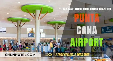 Strategic Departure: Punta Cana Airport Travel Tips
