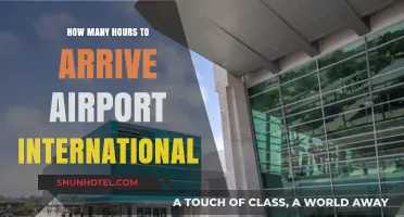 Arriving at the Airport for International Flights: Timing Tips