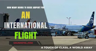 Boise Airport International Flight: Optimal Hours for Stress-Free Travel