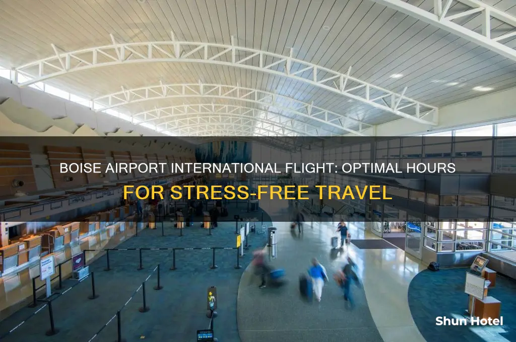 how many hours to boise airport for an international flight