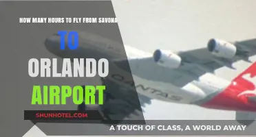 Savona to Orlando: Flight Duration and Travel Tips Revealed