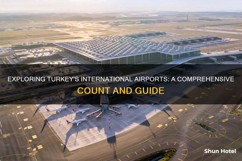 how many international airport are there in turkey