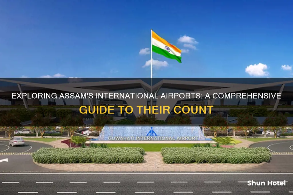 how many international airport in assam