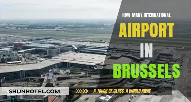 Exploring Brussels' International Airports: A Comprehensive Guide to Their Count