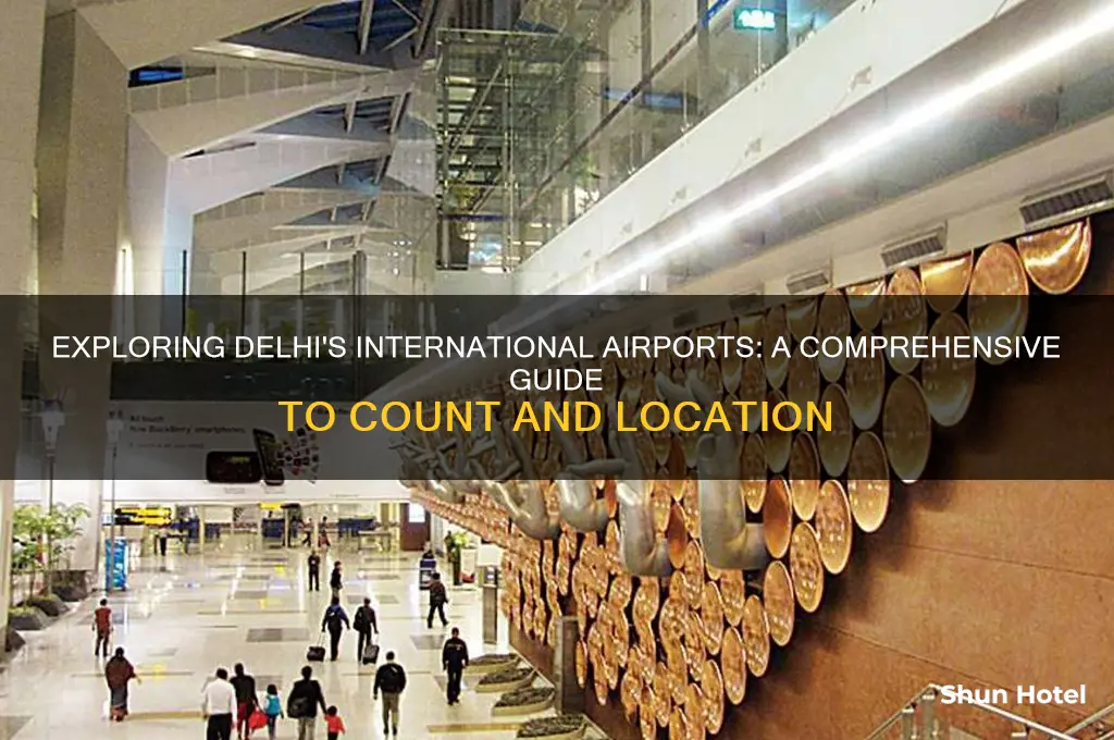 how many international airport in delhi
