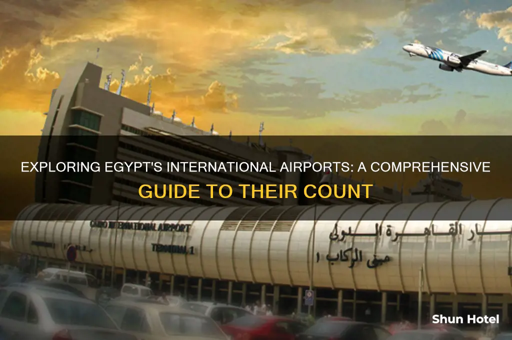 how many international airport in egypt