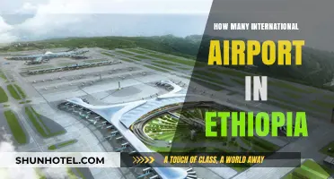 Exploring Ethiopia's International Airports: A Comprehensive Guide to Their Count