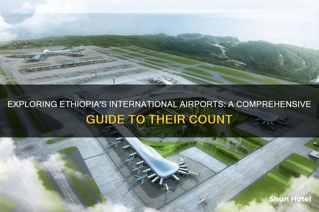 how many international airport in ethiopia