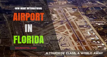Exploring Florida's International Airports: A Comprehensive Guide to Their Count