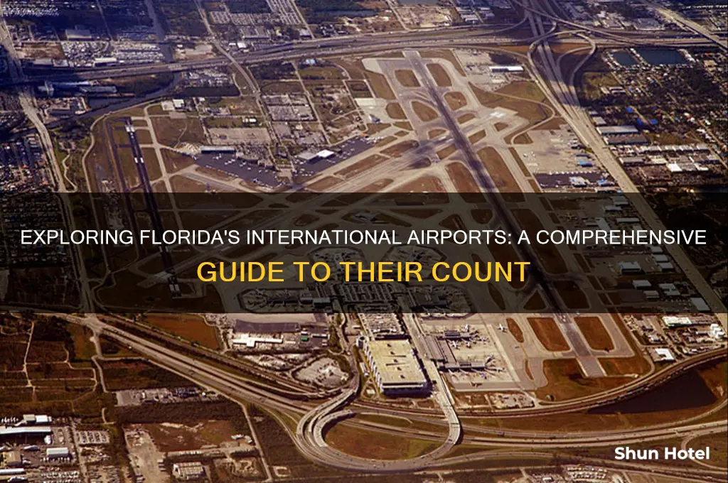 how many international airport in florida