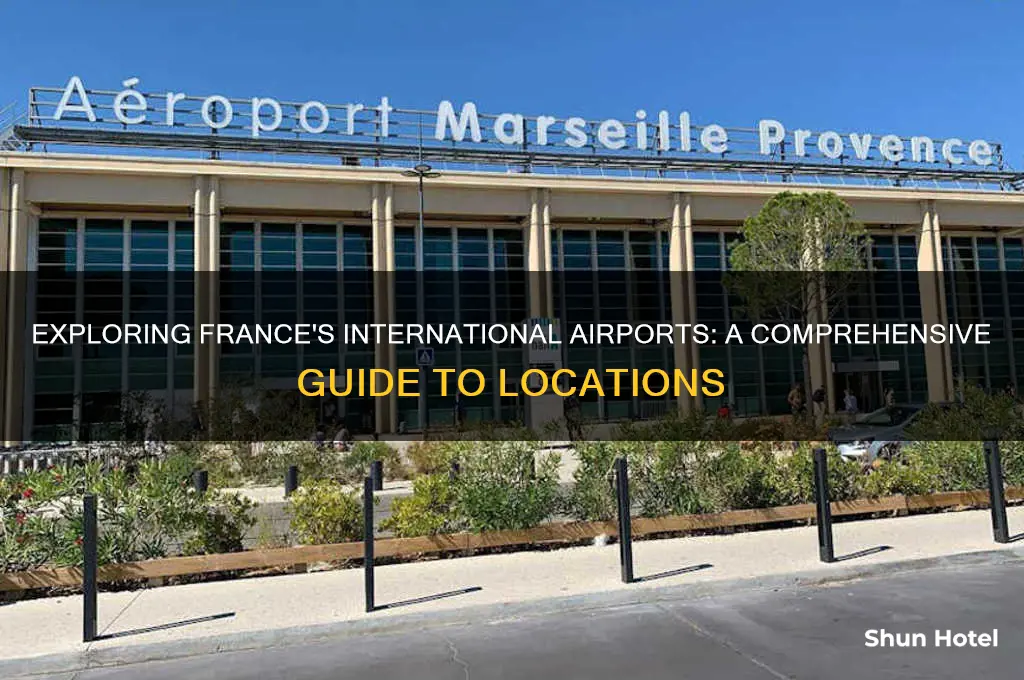 how many international airport in france