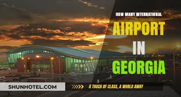 Exploring Georgia's International Airports: A Comprehensive Guide to Their Count