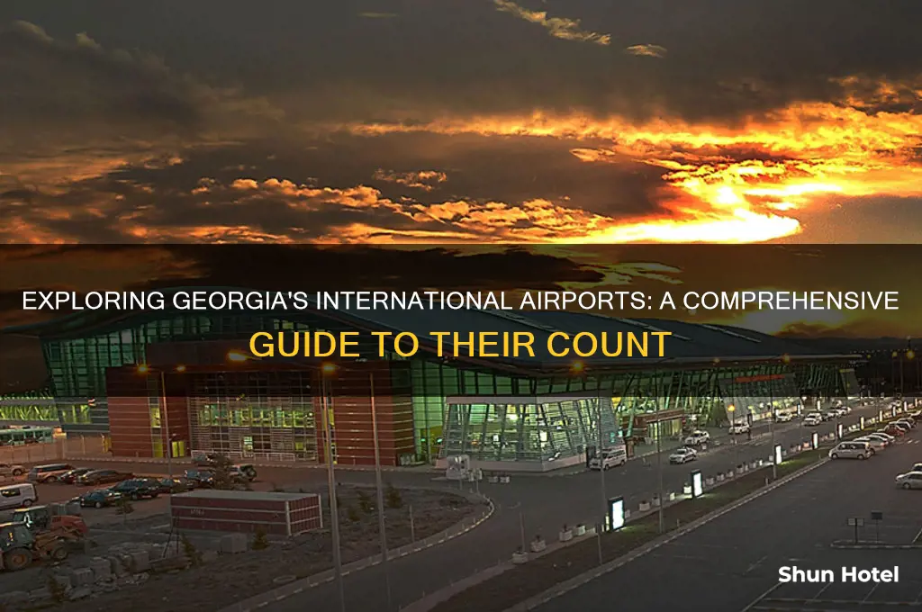 how many international airport in georgia