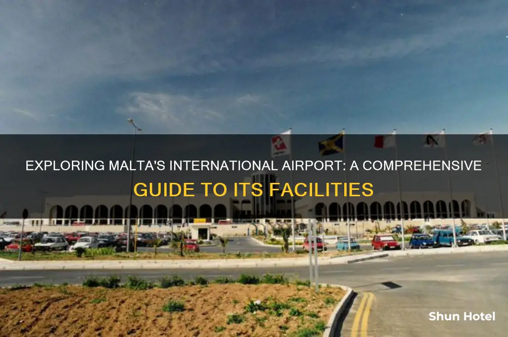 how many international airport in malta